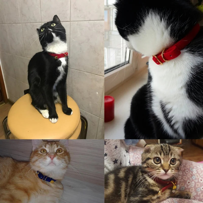 Cat Collar with Bell Safety Cat Collars Puppy Dog Collar for Cats Small Dogs Kittens Solid Pet Collar Chihuahua Products YS0032