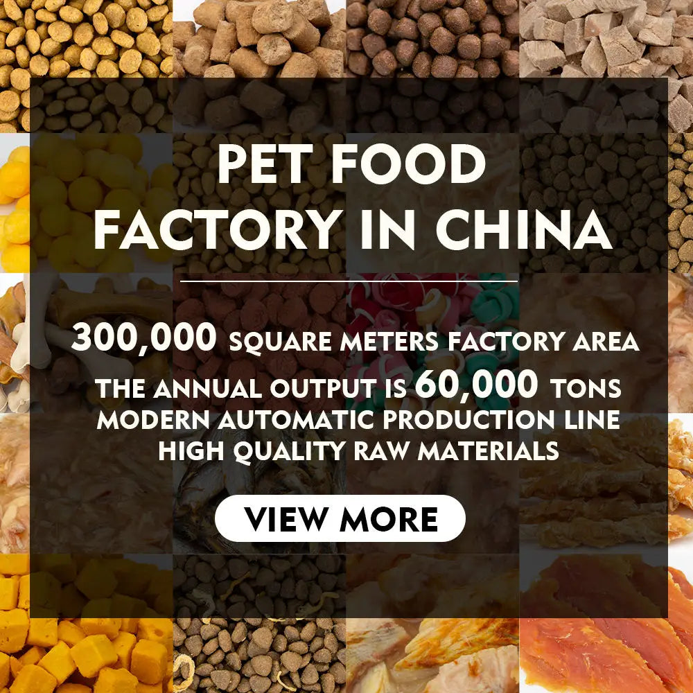 OEM Cat Food Factory Exports 10KG Natural Raw Fish Flavors Fish Shapes All Age Cat Food