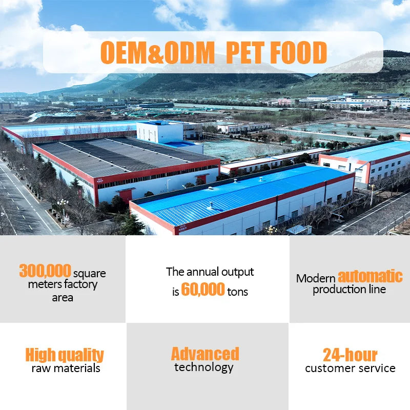 OEM Cat Food Factory Exports 10KG Natural Raw Fish Flavors Fish Shapes All Age Cat Food