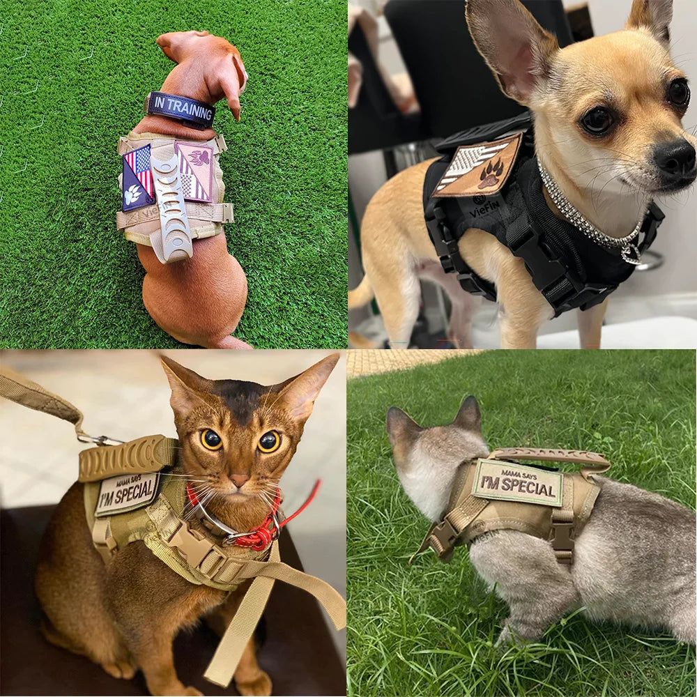 Cat Harness Leash Tactical Vest Small Dog Kitten Military Harness Escape Proof Full Body Breathable for Puppy Walking Training