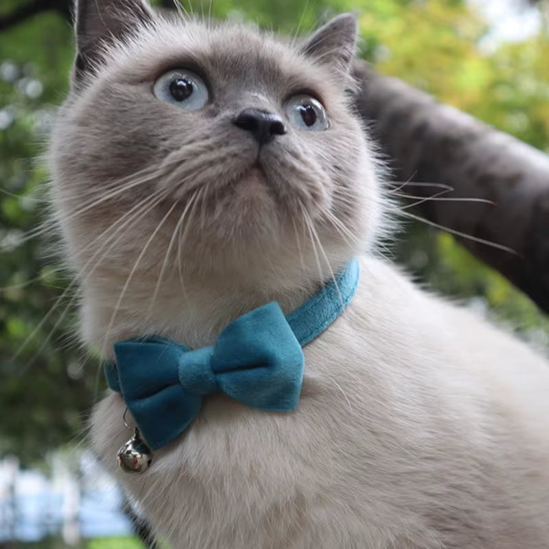 Velvet Cat Collar Solid Color Bowknot Puppy Chihuahua Collars with Bell Adjustable Safety Buckle Cats Bow Tie Pets Accessories
