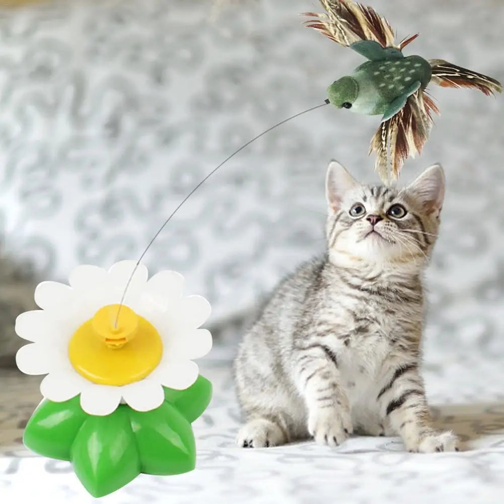 Jouet Électrique Rotatif Coloré Pour Chat Et Chien, Oiseau Papillon Amusant, Siège À Gratter, Entraînement Intelligent