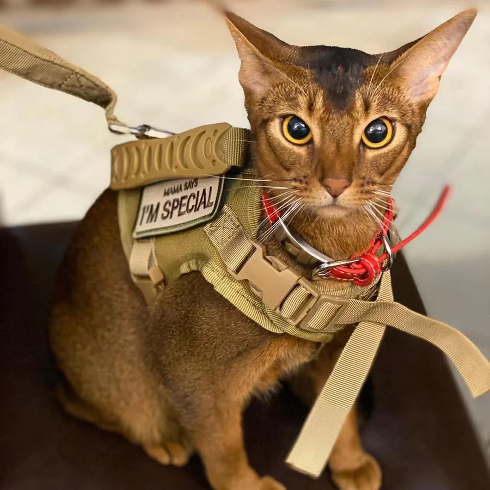 Cat Harness Leash Tactical Vest Small Dog Kitten Military Harness Escape Proof Full Body Breathable for Puppy Walking Training
