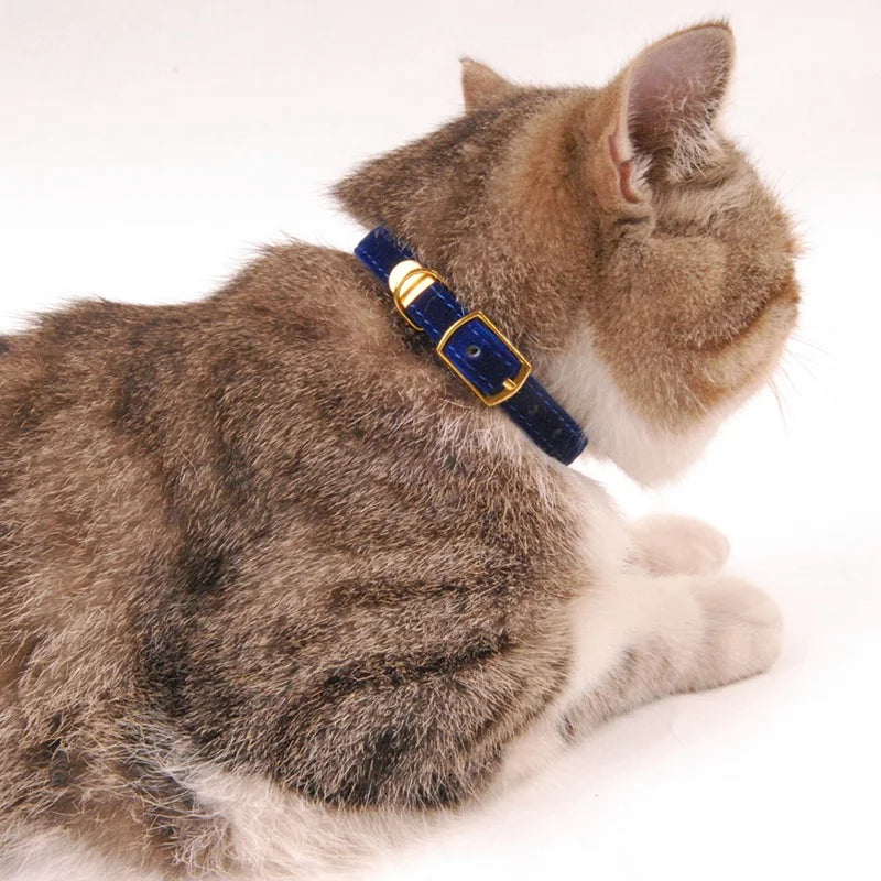 Cat Collar with Bell Safety Cat Collars Puppy Dog Collar for Cats Small Dogs Kittens Solid Pet Collar Chihuahua Products YS0032