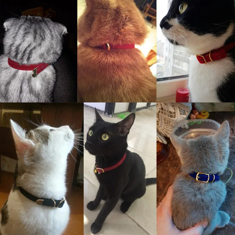 Cat Collar with Bell Safety Cat Collars Puppy Dog Collar for Cats Small Dogs Kittens Solid Pet Collar Chihuahua Products YS0032